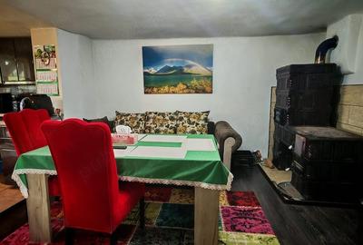 Casă cu Teren 1550 Mp în Roșia de Secaș - 3