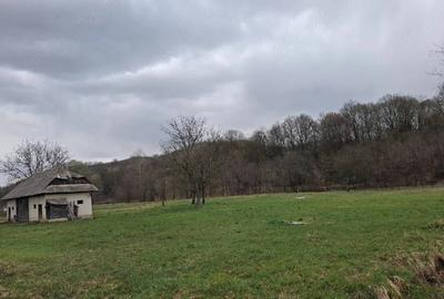 Teren de 5500 mp, în Făurești - 5