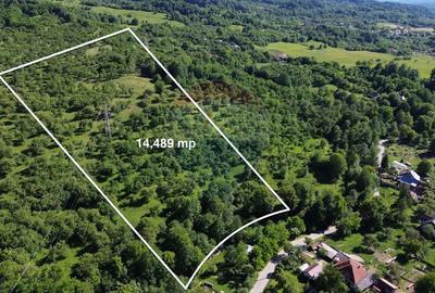 Teren agricol extravilan de 14489 mp, în Exterior Est - 19