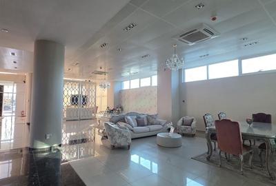 Spațiu comercial, de 3,500 mp, în Vitan-Bârzești - 24