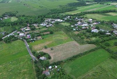 Teren Construcții intravilan de 4229 mp, în Blidari (Cârligele) - 5