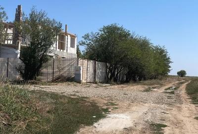 Teren Construcții intravilan de 18000 mp, în Dascălu - 4