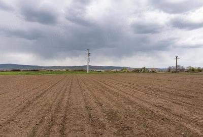 Teren de 5663 mp, în Oșorhei - 8