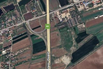 Teren Construcții intravilan de 90000 mp, în Moara Vlăsiei - 2