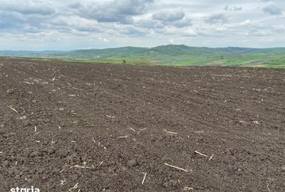 Teren de 10200 mp, în Budești - 4