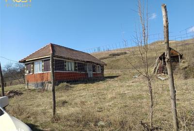 Casă cu 2 camere în Hagău