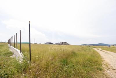 Teren Construcții intravilan de 733 mp, în Sânpetru - 12