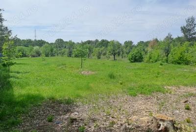 Teren de 1679 mp, în Băbana - 5
