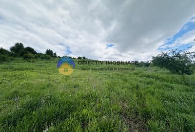 Teren agricol intravilan de 3000 mp, în Ciritei - 8
