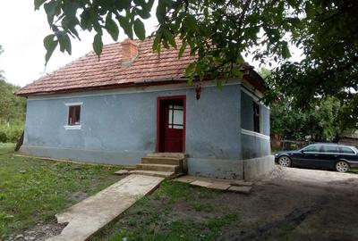 Casă cu 3 camere cu Teren 4400 Mp în Sânger