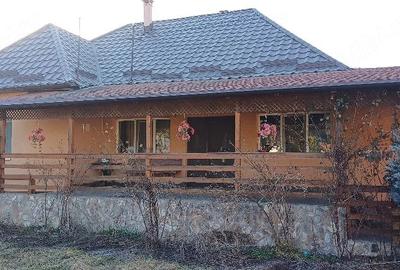 Casă cu Teren 2500 Mp în Negreni