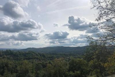 Teren de 1300 mp, în Cicănești