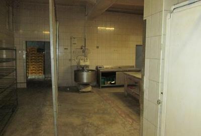 Spațiu comercial, de 500 mp, în Central - 4