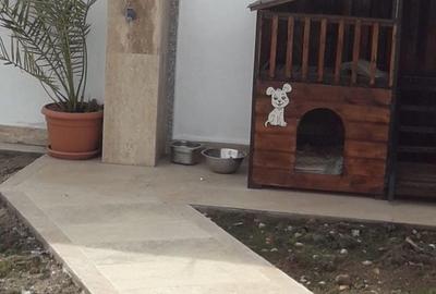 Casă cu 4 camere în Schela Cladovei