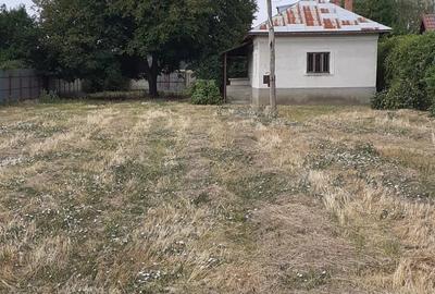 Casă cu 3 camere cu Teren 1500 Mp în Brazda lui Novac