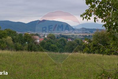 Teren de 726 mp, în Poiana Angelescu - 1