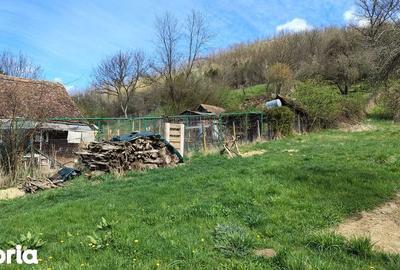 Casă cu 2 camere cu Teren 74 Mp în Zagăr - 4