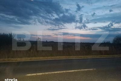 Teren de 10000 mp, în Răzvad