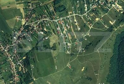 Teren de 6000 mp, în Sălicea - 2