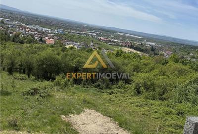 Teren de 688 mp, în Valea Borcutului - 4