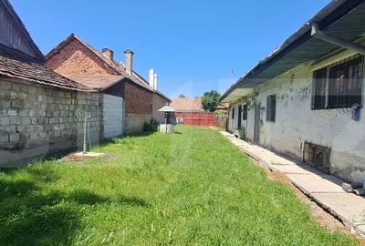 Casă individuală cu 2 camere cu Teren 3000 Mp în Veneția de Sus - 4
