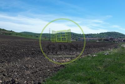Teren agricol extravilan de 23300 mp, în Gușterița - 1