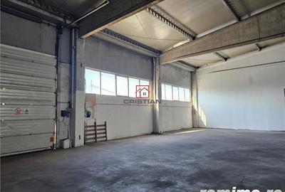 Spațiu comercial, în Domnești - 12