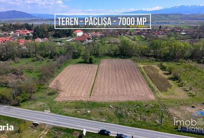 Teren de 6870 mp, în Totești - 1