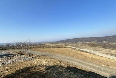 Casă cu 4 camere cu Teren 2800 Mp în Central - 7