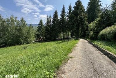 Teren de 830 mp, în Central - 4