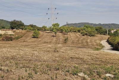 Teren de 1000 mp, în Vulcan