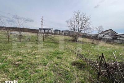 Teren de 4400 mp, în Viișoara - 1