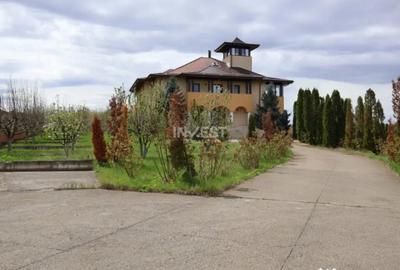 Casă cu 7 camere cu Piscina în Vișani - 18