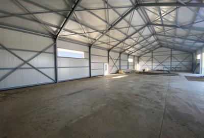 Spațiu industrial, de 400 mp, în Bragadiru