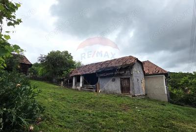 Casă cu 3 camere cu Teren 2200 Mp în Teleac - 8