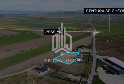 Teren Construcții intravilan de 2858 mp, în Chilieni - 2