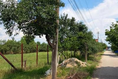 Teren de 2595 mp, în Pișchia
