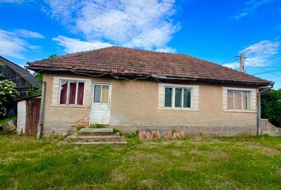 Casă cu 2 camere cu Teren 954 Mp în Mica