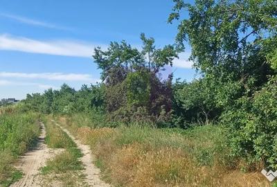 Teren în Săbăreni