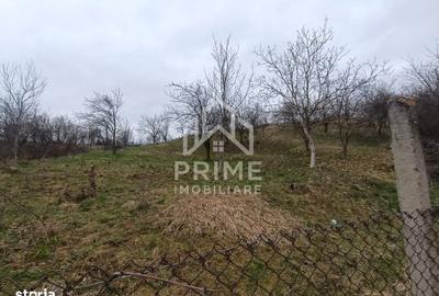 Casă cu 2 camere cu Teren 3000 Mp în Tibru - 7
