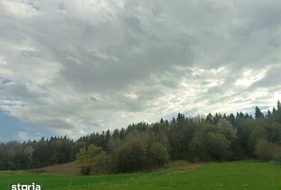 Teren de 500 mp, în Bodești - 4