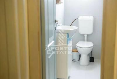 Apartament cu 2 camere decomandat, mobilat în P-ța Victoriei - 11