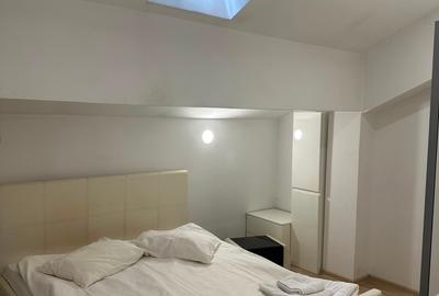 Apartament cu 2 camere semidecomandat în Tătărași - 5