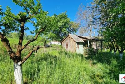 Teren în Bercu Roșu - 4