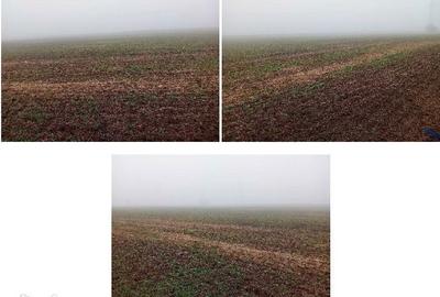 Teren de 18318 mp, în Ștefan cel Mare - 6