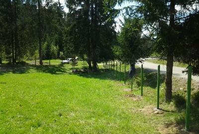 Teren de 12500 mp, în Lunca - 4