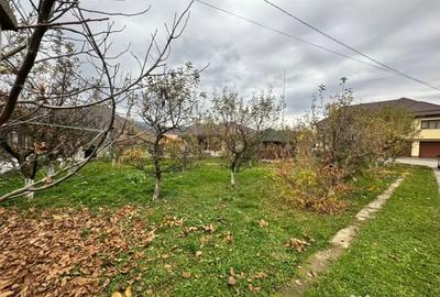 Casă cu 5 camere cu Teren 1310 Mp în Central - 13
