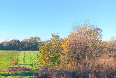 Teren de 2500 mp, în Jilava - 1