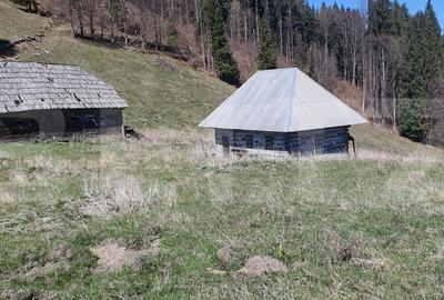 Teren de 206189 mp, în Central - 10