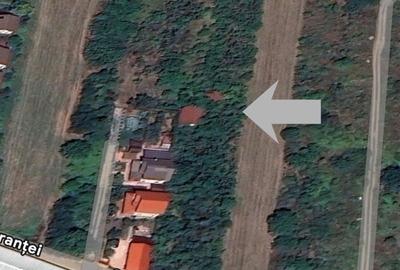 Teren de 5014 mp, în Afumați - 1